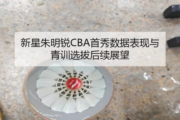 新星朱明锐CBA首秀数据表现与青训选拔后续展望